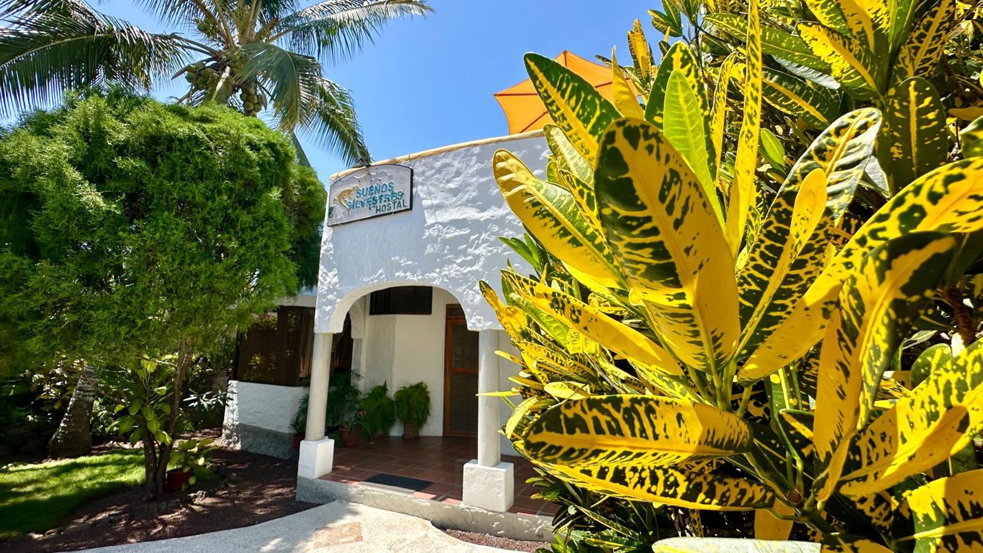 Hostal Suenos Silvestres 푸에르토아요라 외부 사진