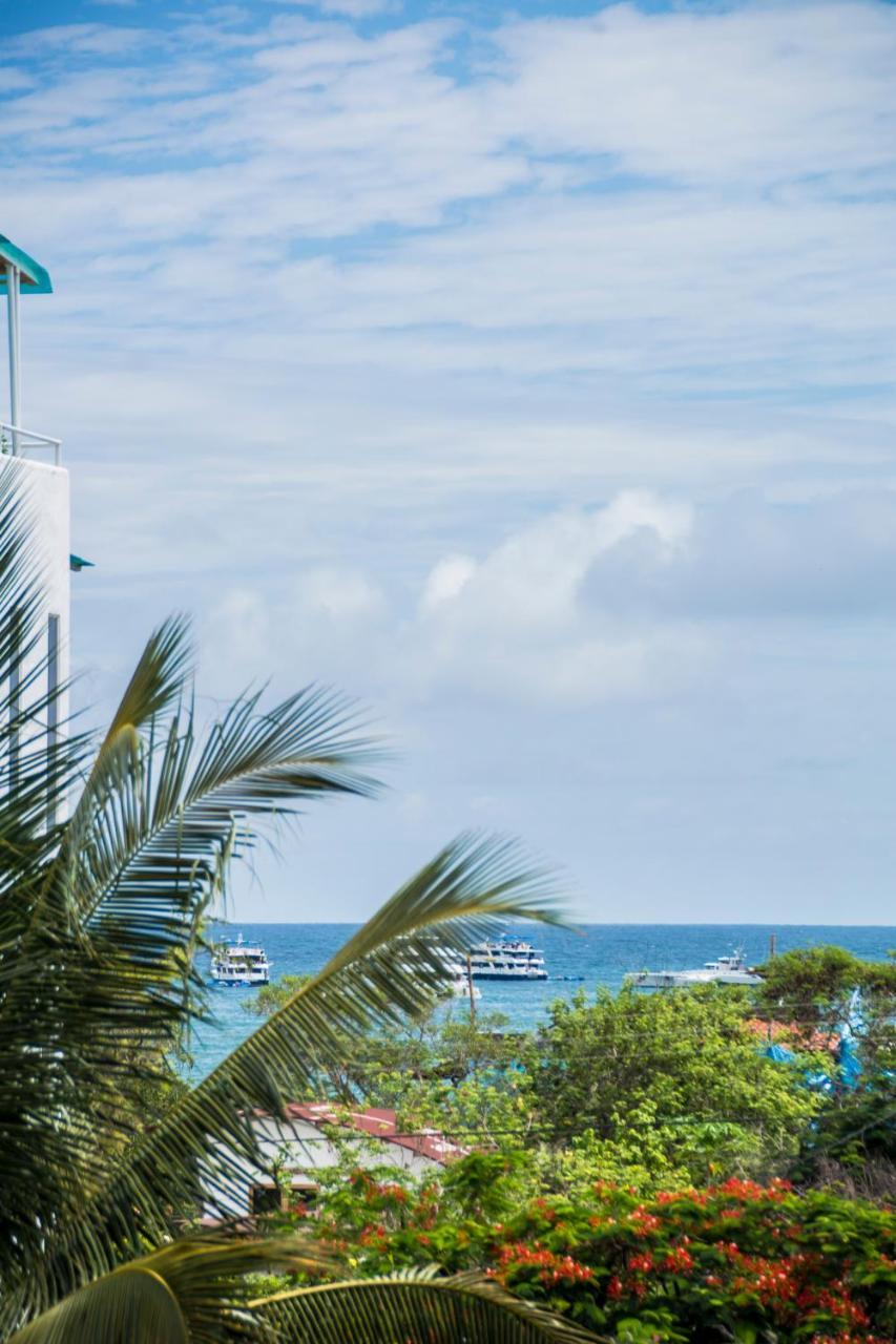 Hostal Suenos Silvestres 푸에르토아요라 외부 사진