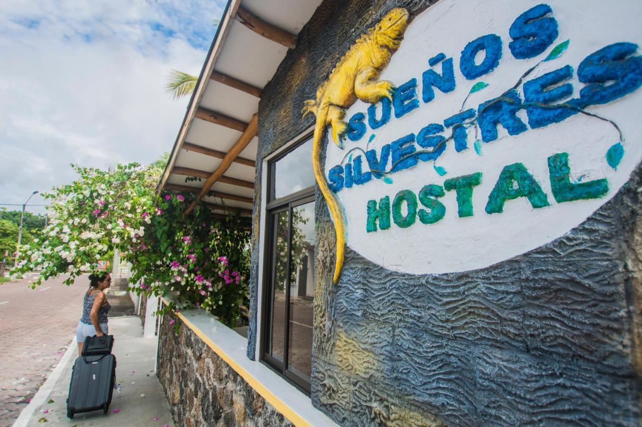 Hostal Suenos Silvestres 푸에르토아요라 외부 사진