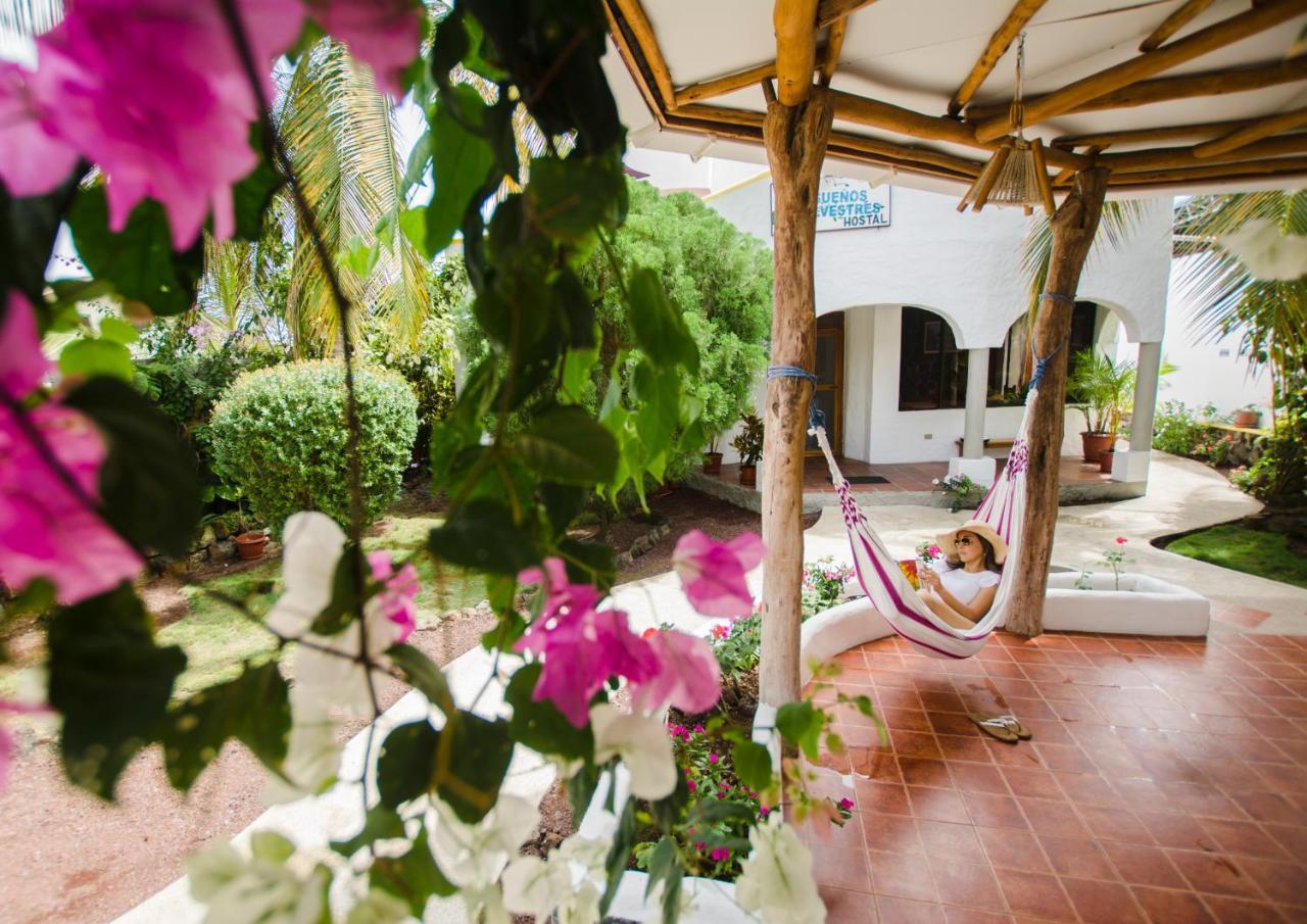 Hostal Suenos Silvestres 푸에르토아요라 외부 사진